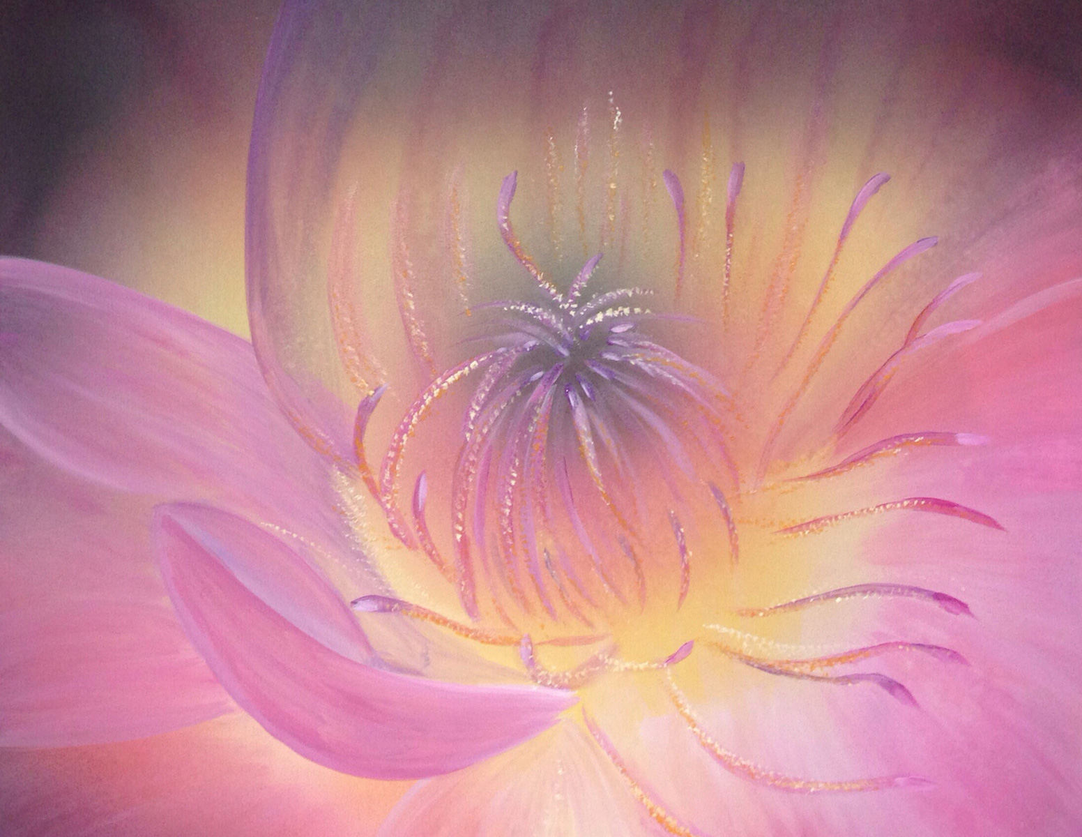 Bild 11/47 | Blume der Liebe